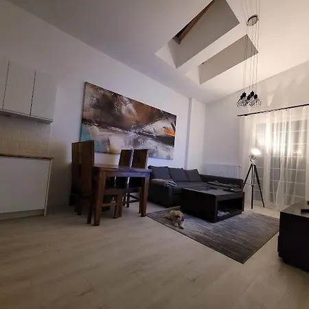 W Starym Mlynie Loft Rozanka Apartman