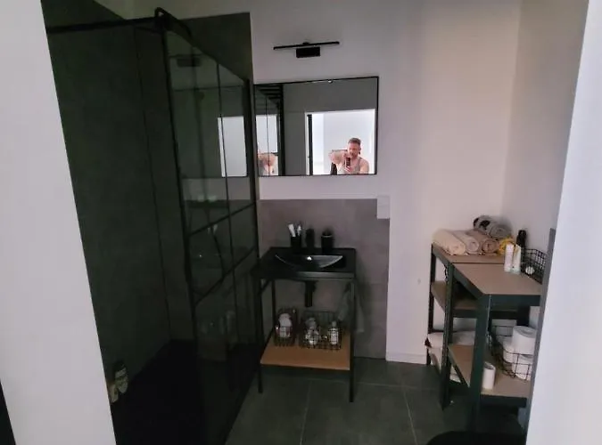 W Starym Mlynie Loft Rozanka * Vratislav