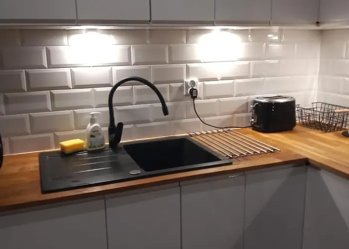 W Starym Mlynie Loft Rozanka * Vratislav