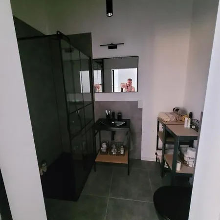 W Starym Mlynie Loft Rozanka * Breslau