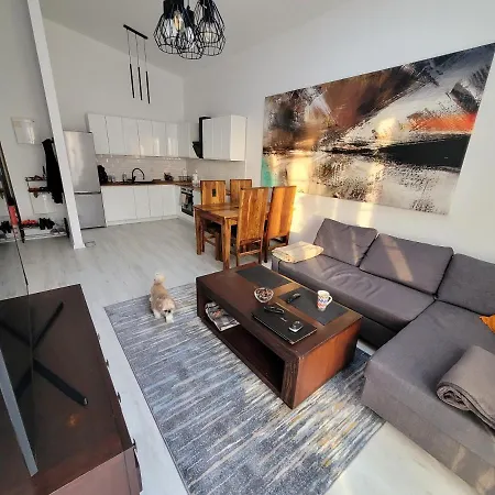 Appartamento W Starym Mlynie Loft Rozanka Breslavia