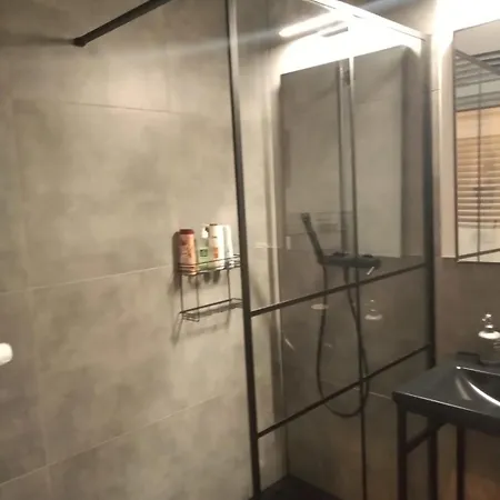 W Starym Mlynie Loft Rozanka Apartment Breslau